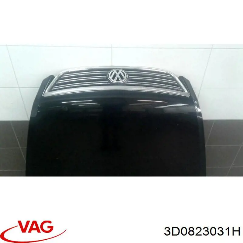 Капот VAG 3D0823031H ціна, від 152.03 USD