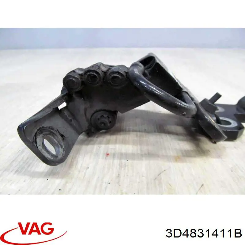 Купити 3D4831411C VAG Петля водійських дверей