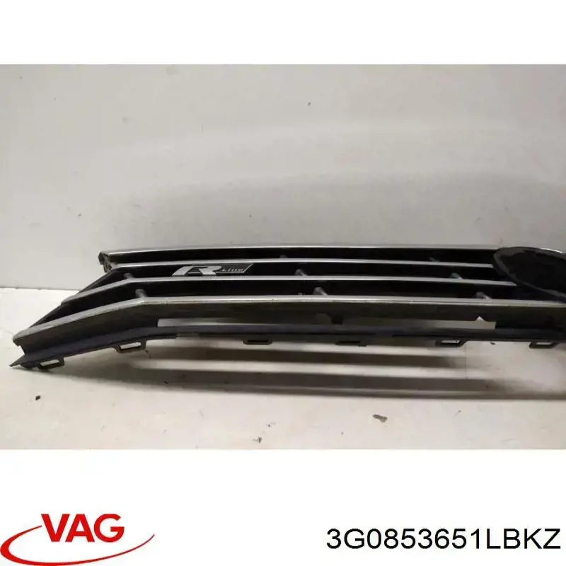 Купити 3G0853651LBKZ VAG Захисна решітка радіатора