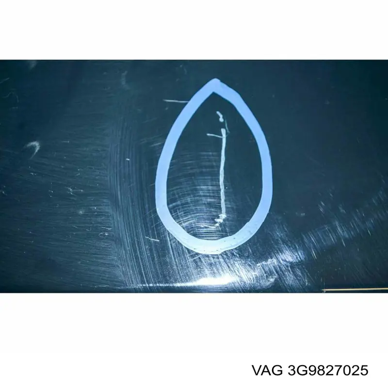 3G9827025 VAG Треті двері