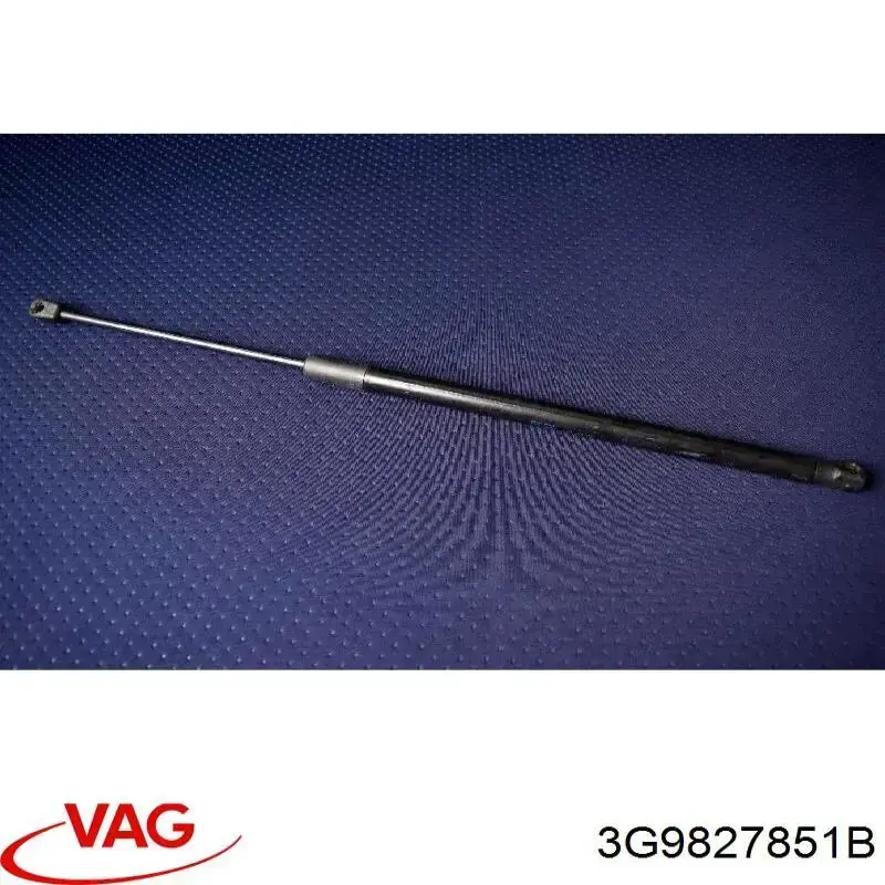 Амортизатор двері задньої Asam 100179 ціна, від 100.40 USD