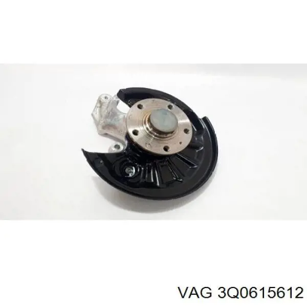 Купити 3Q0615612 VAG Захист гальмівного диска заднього, правого