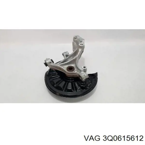 Захист гальмівного диска заднього, правий VAG 3Q0615612