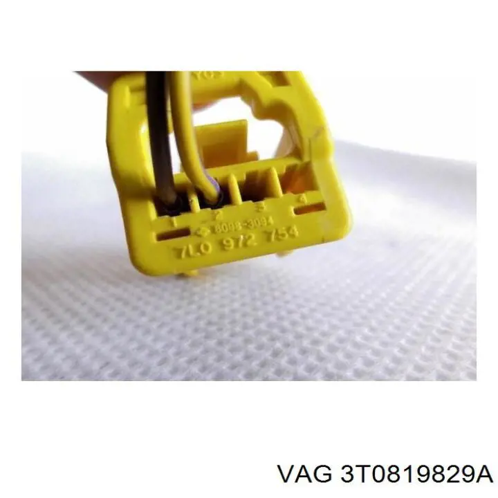  3T0819829A VAG