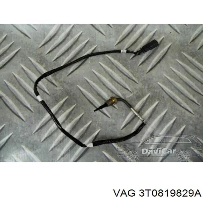 3T0819829A VAG 
