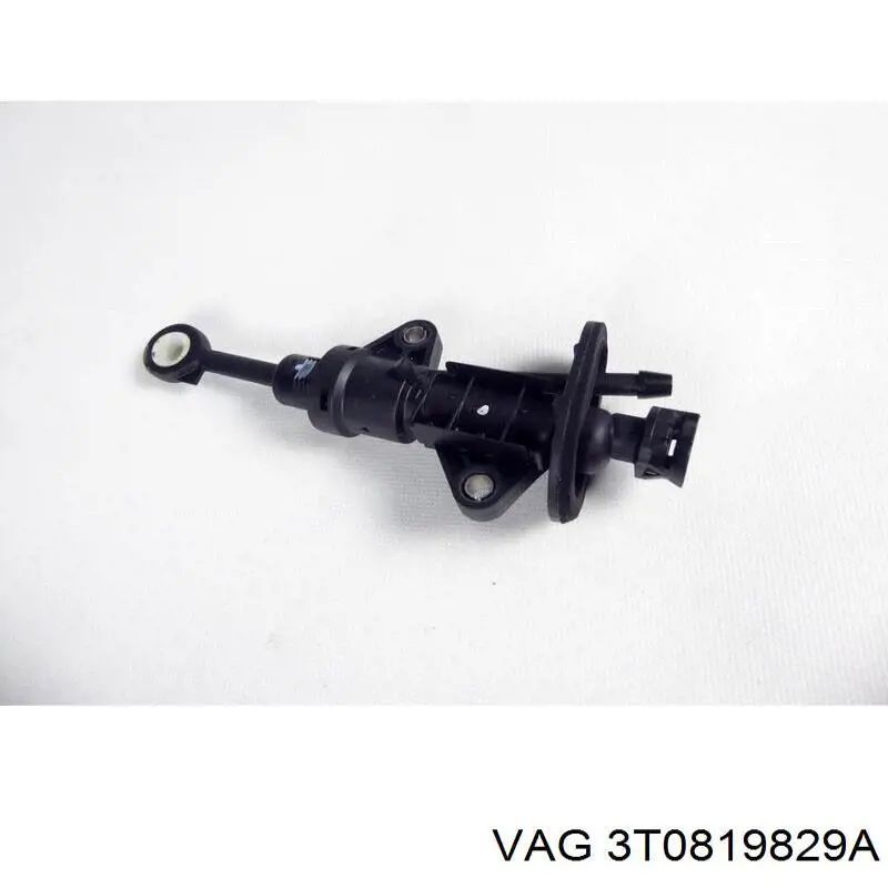  3T0819829A VAG