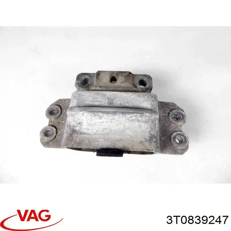  VAG 3T0839247