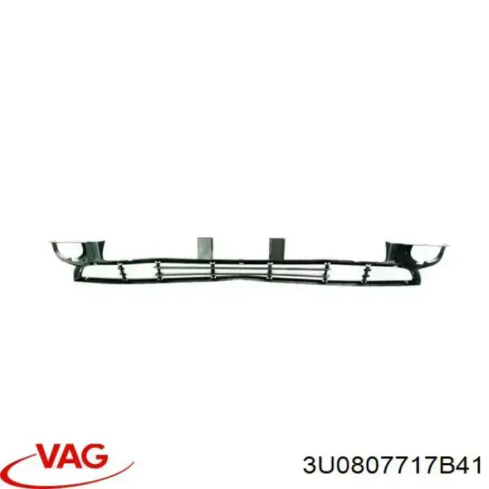 Молдинг переднього бампера, лівий VAG 3U0807717B41 ціна, від 22.50 USD