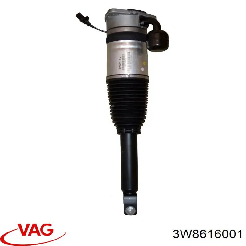 Амортизатор передньої підвіски, лівий Sakes 6204101201 ціна, від 282.52 USD