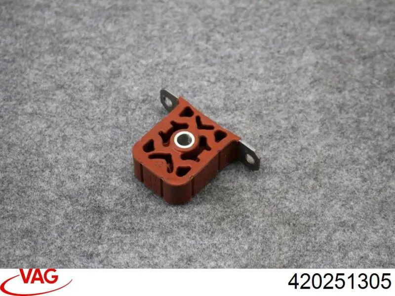 420251305 VAG 
