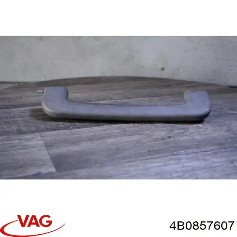  VAG 4B0857607
