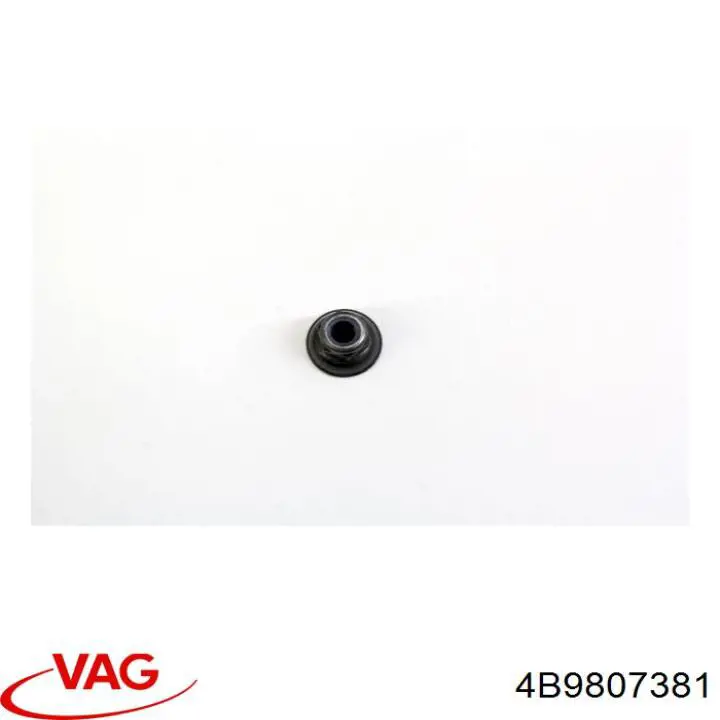 Кронштейн бампера заднього, центральний VAG 4F0807381 ціна, від 6.08 USD