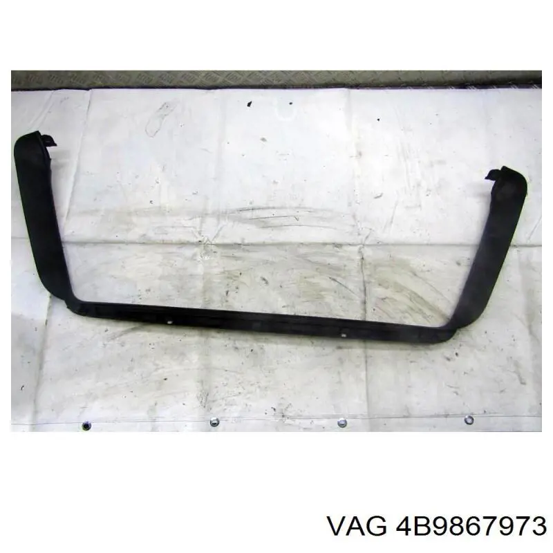 4B9867973 VAG 