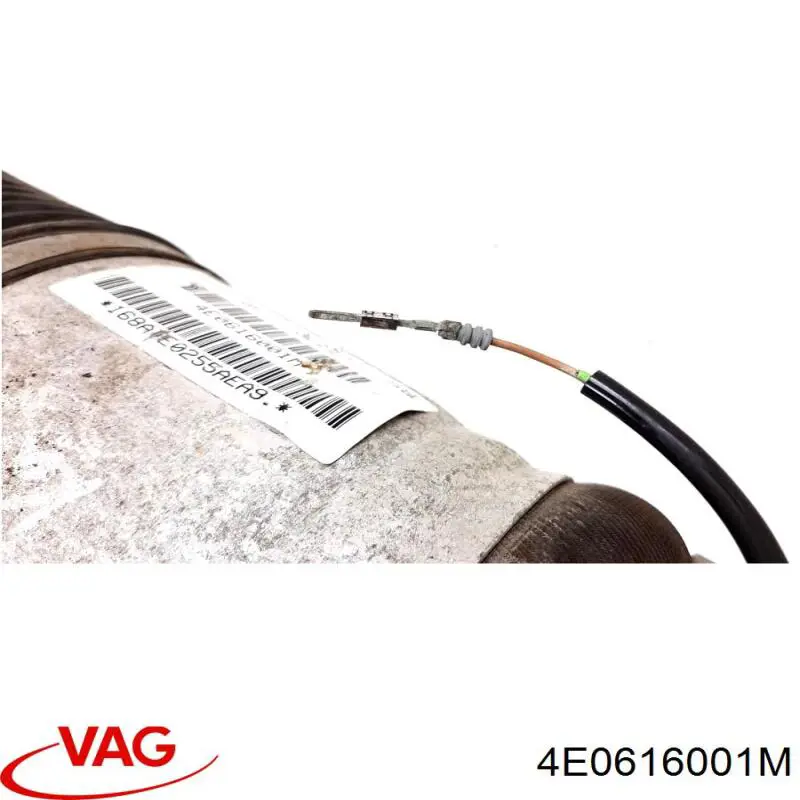 Купити 4E0616001M VAG Амортизатор задній, лівий