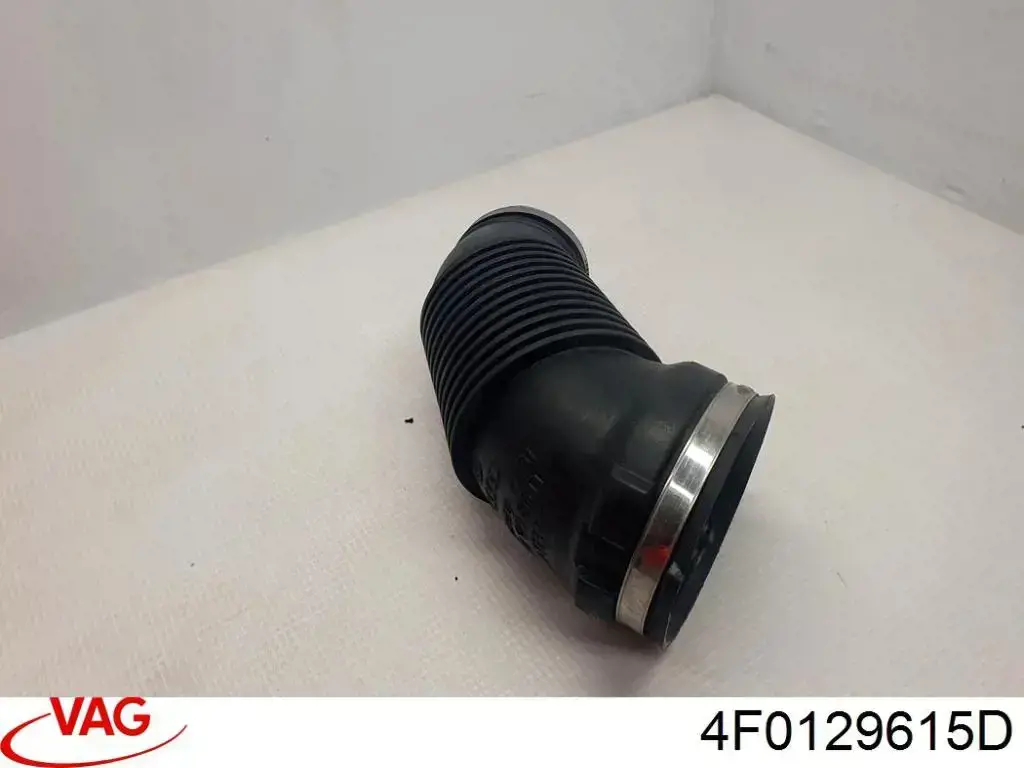 4F0129615D VAG 