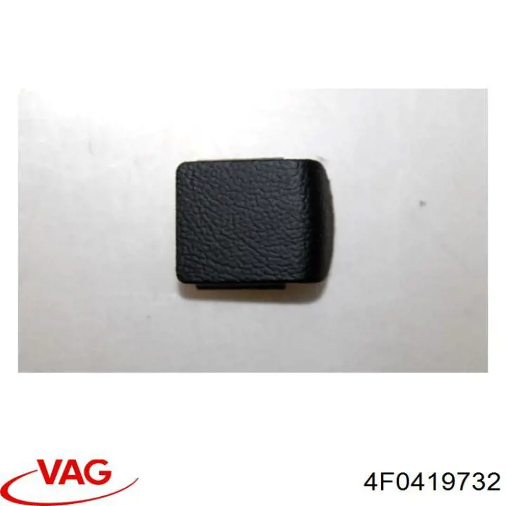 4F0419732 VAG 