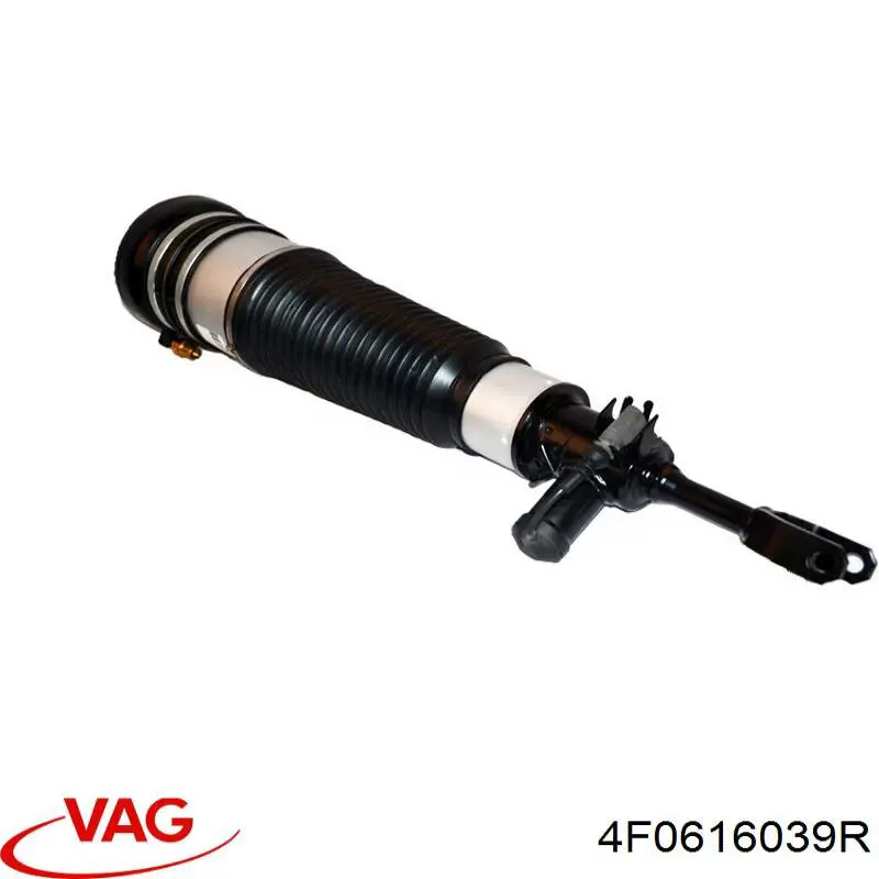 Амортизатор передньої підвіски, лівий VAG 4F0616039R ціна, від 385.31 USD