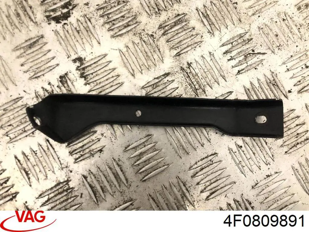 4F0809891 VAG 
