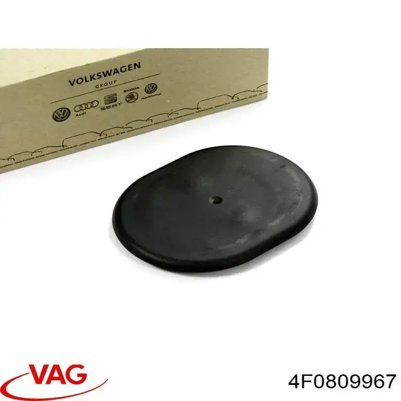 4F0809967 VAG 