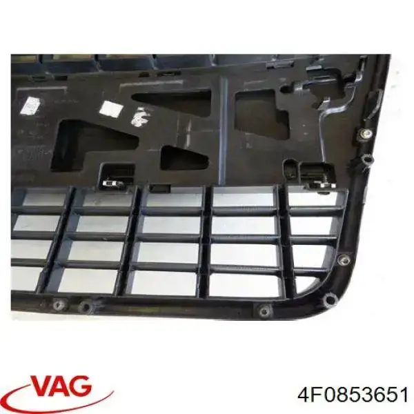 Купити Решітка радіатора Audi A6 C6 4F2