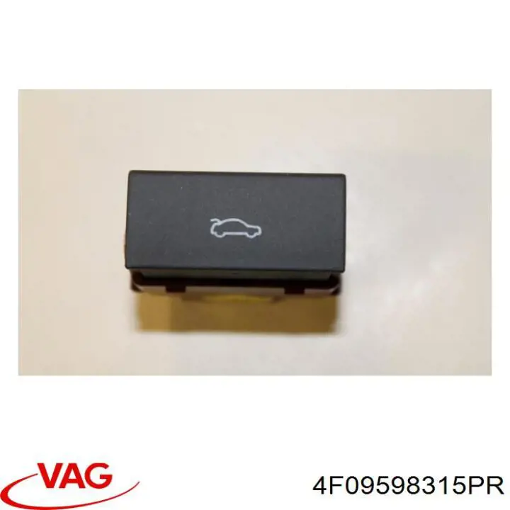 4F09598315PR VAG 