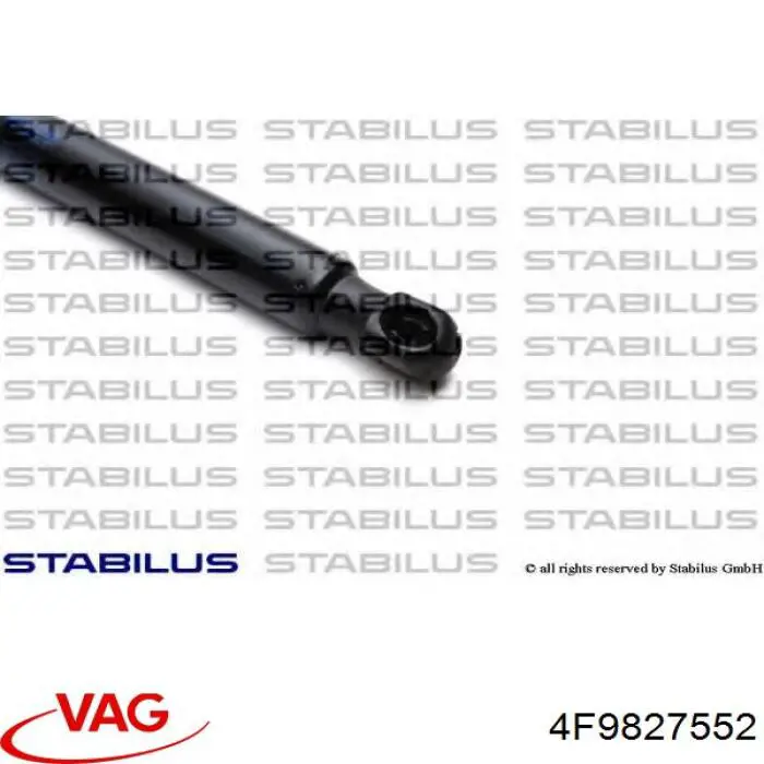 Амортизатор двері задньої VAG 4F9827552 ціна, від 9.11 USD