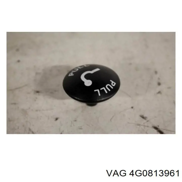 4G0813961 VAG 