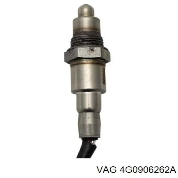  VAG 4G0906262