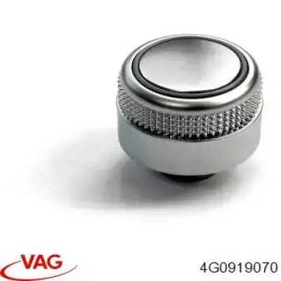  VAG 4G0919070