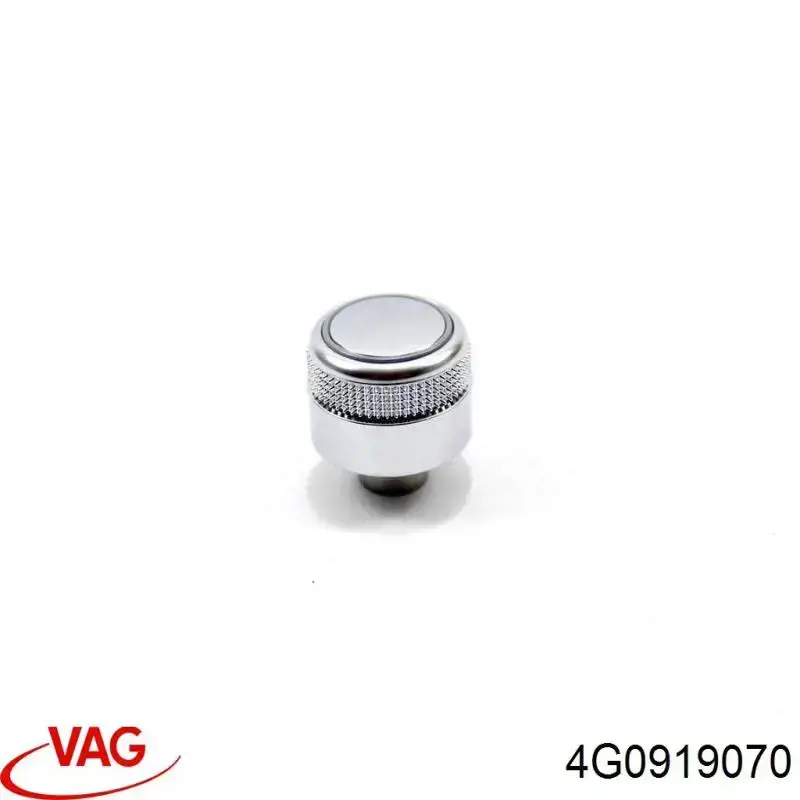  4G0919070 VAG