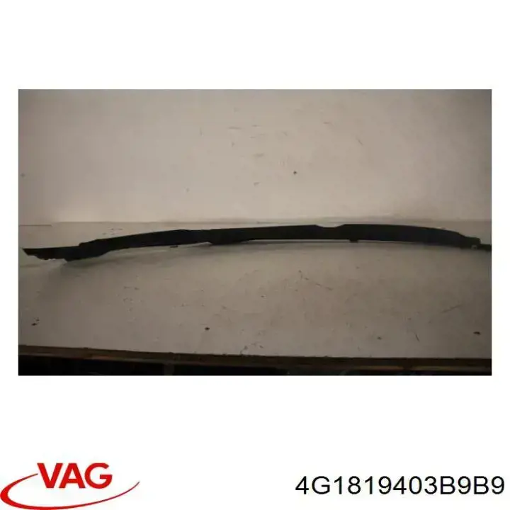 Купити 4G1819403B VAG Водостік лобового скла, жабо