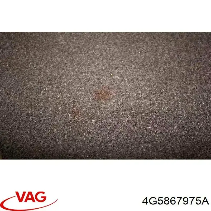 Купити 4G5867975A VAG 
