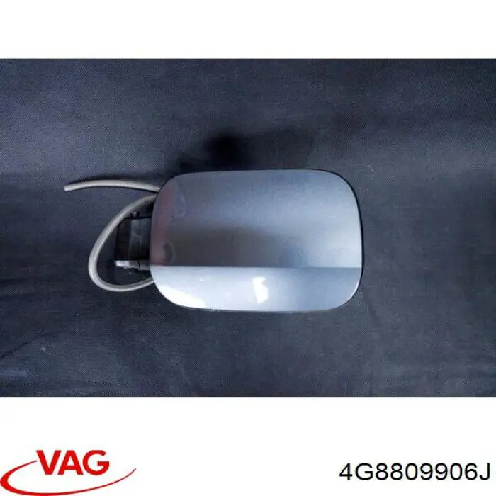  VAG 4G8809906J