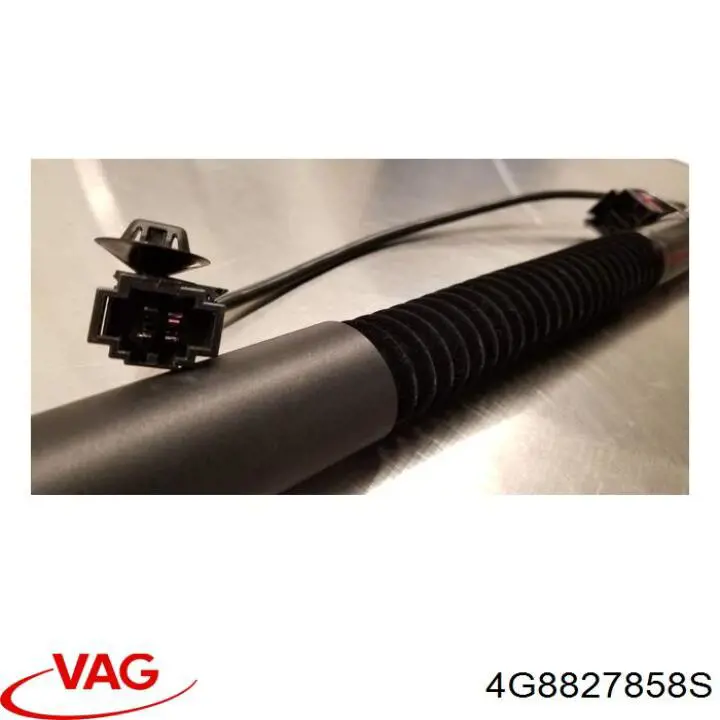 Купити 4G8827858S VAG Петля багажника