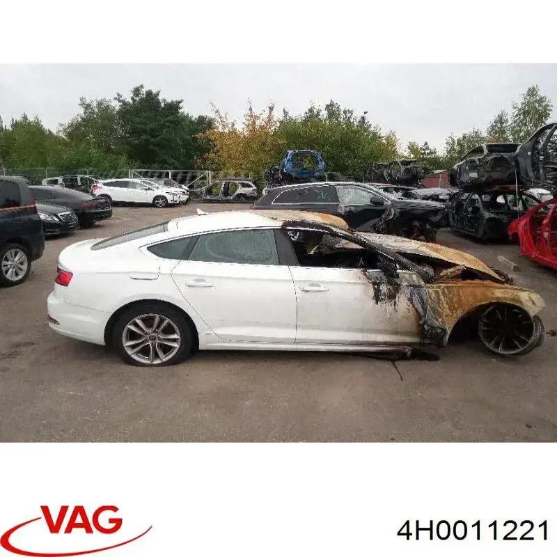 4H0011221 VAG 