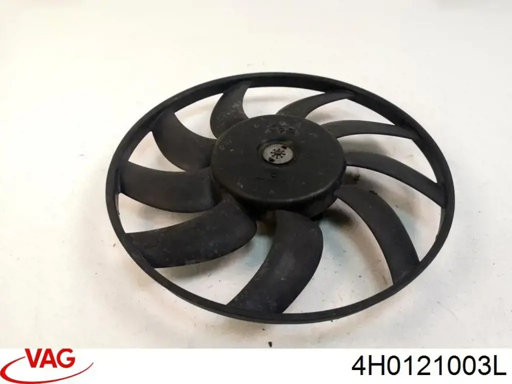  4H0121003L VAG