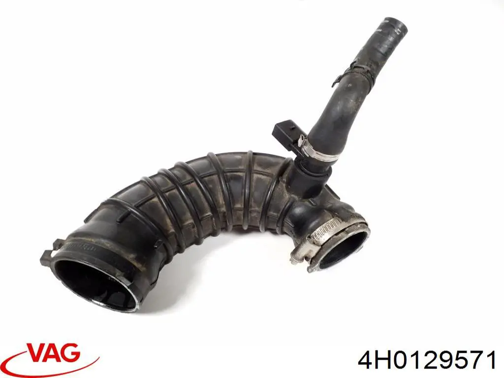 4H0129571 VAG 