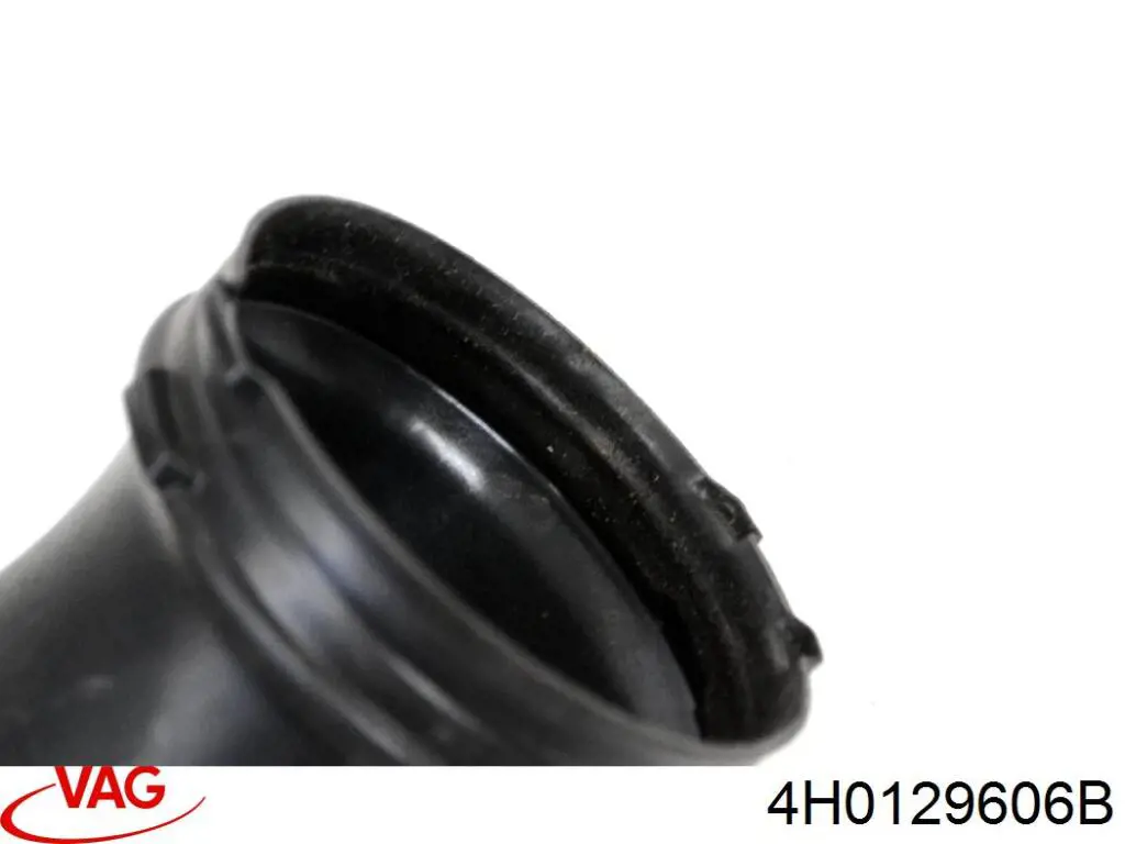 4H0129606B VAG 