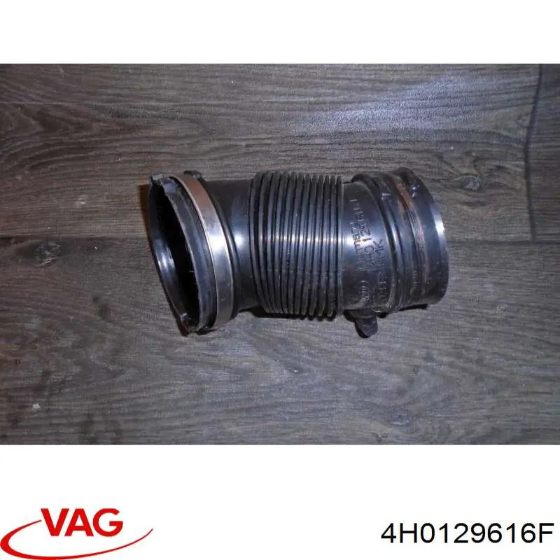 4H0129616F VAG 