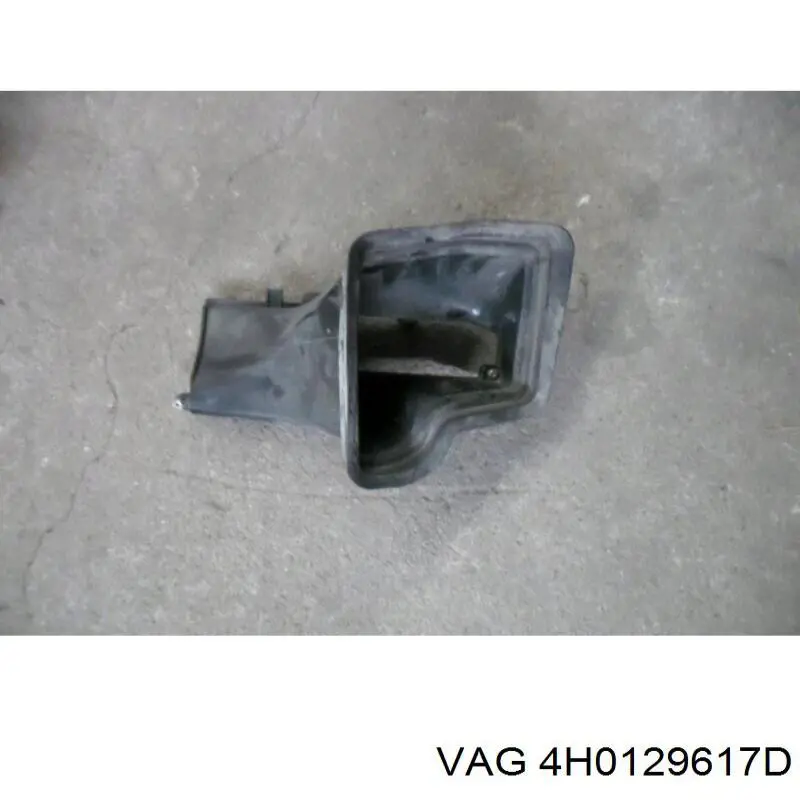 4H0129617D VAG 