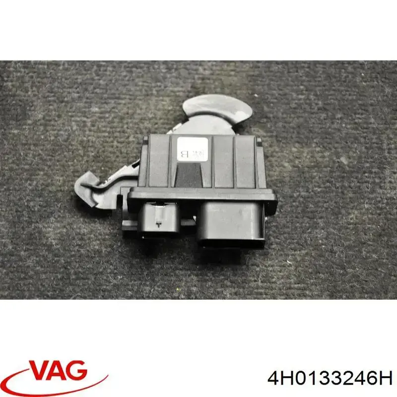 4H0133246H VAG 
