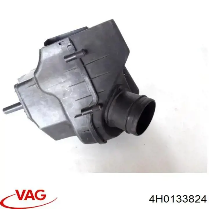 4H0133824 VAG 