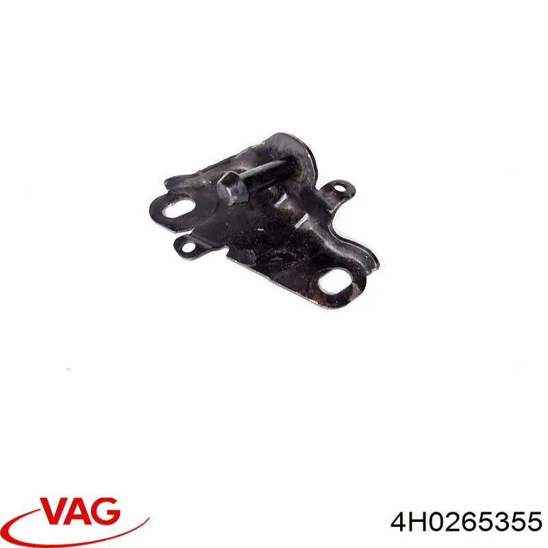  4H0265355 VAG