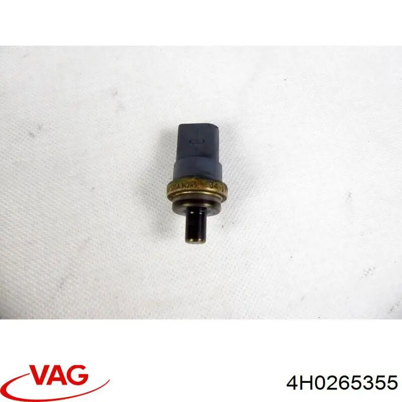  4H0265355 VAG