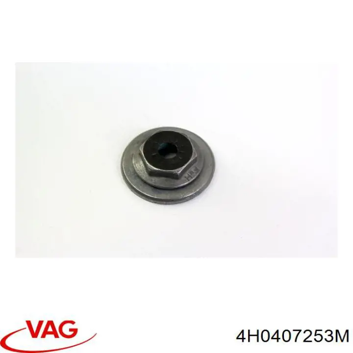  4H0407253G VAG