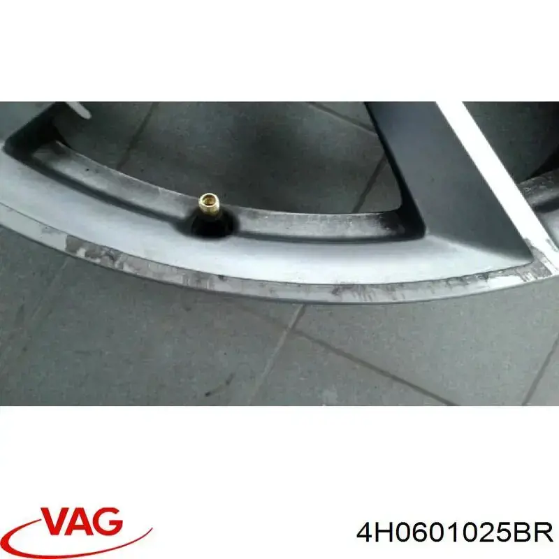 Диски колісні литі (легкосплавні, титанові) VAG 4H0601025BR ціна, від  USD