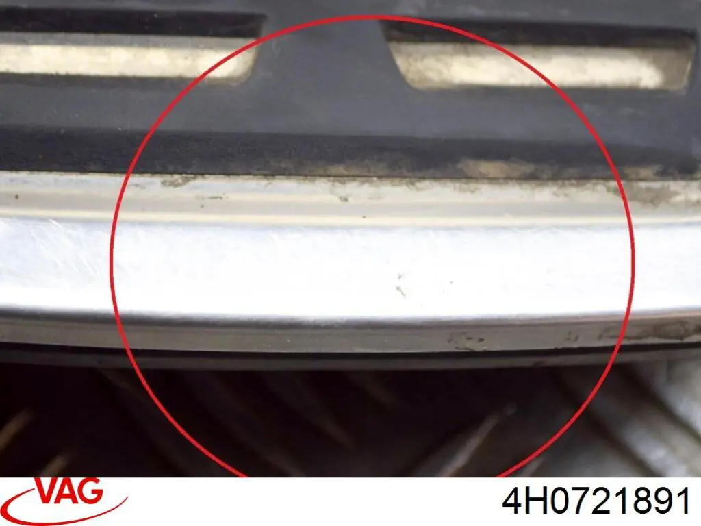  VAG 4H0721891
