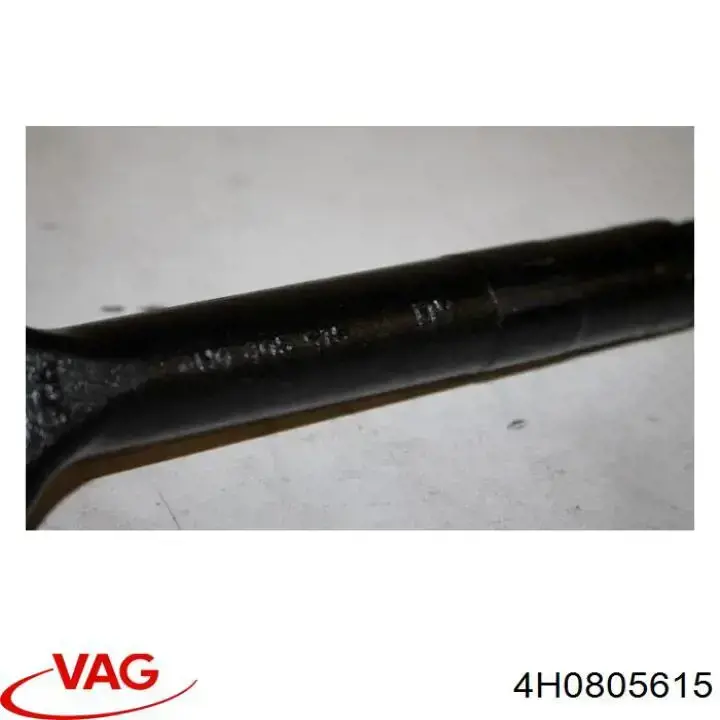  VAG 4H0805615