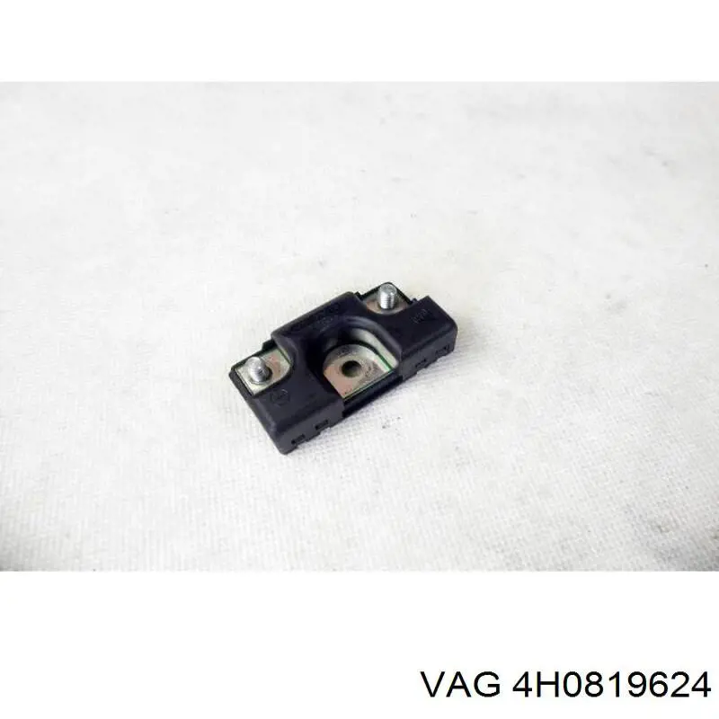  4H0819624 VAG