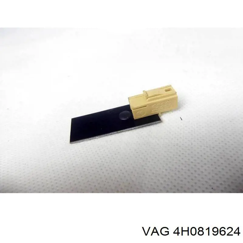 4H0819624 VAG 